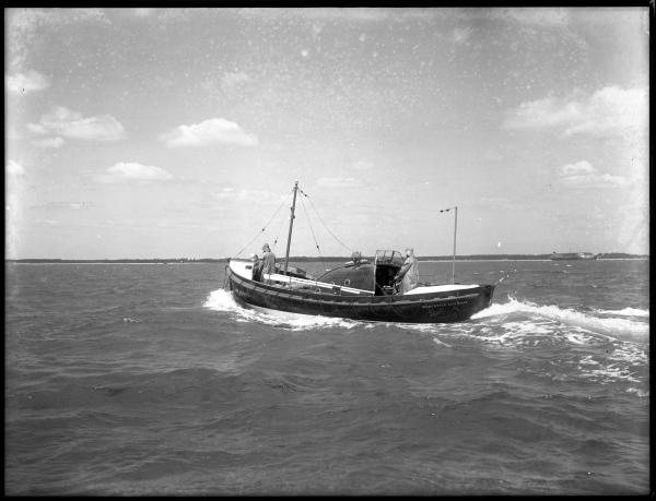 William and Laura at trials, Isle of Wight on 6th July 1949