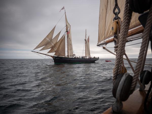 Bessie Ellen from Pellow