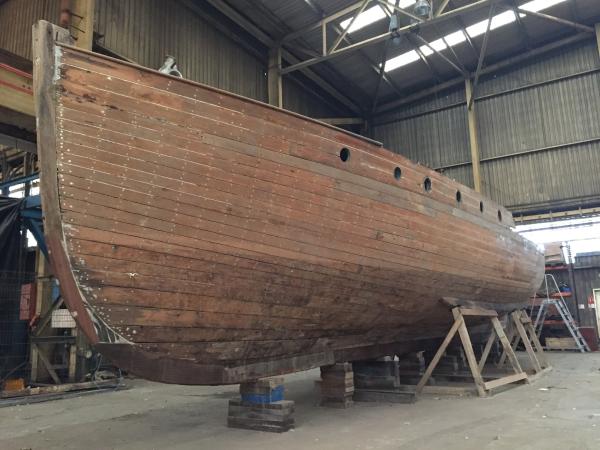 in the shed 2023