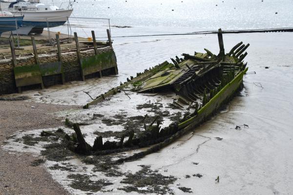 LV 38 March 2024 by Fraser Gray