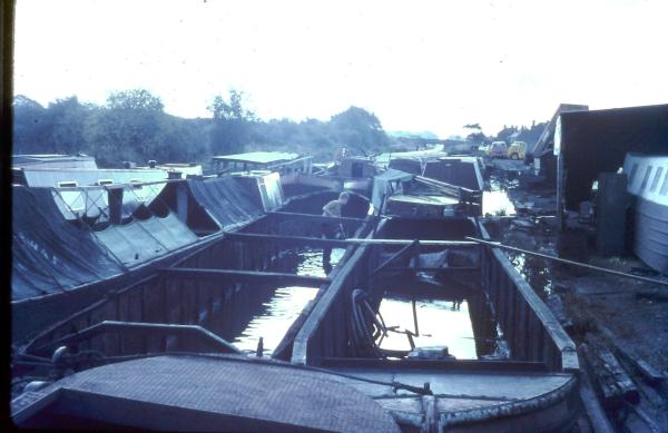 Josher Butty Norway before she was cut into 2 pieces