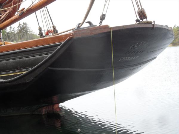 Deodar’s stern