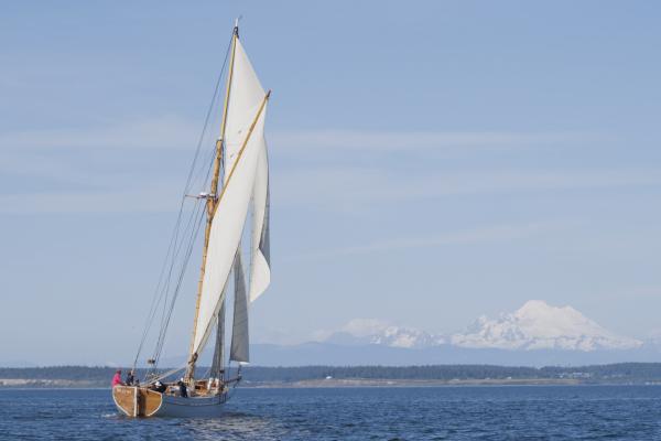 Tally Ho sailing after restoration 2024