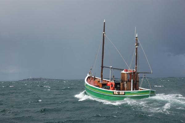 Sovereign off Farne Islands