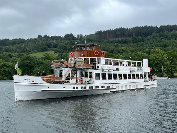 Teal in Windermere 2025