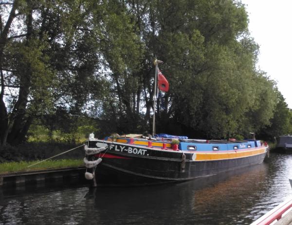 Pauline - On the move