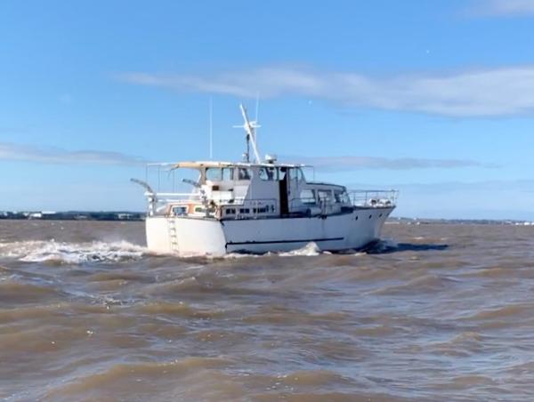Kiamara cruising