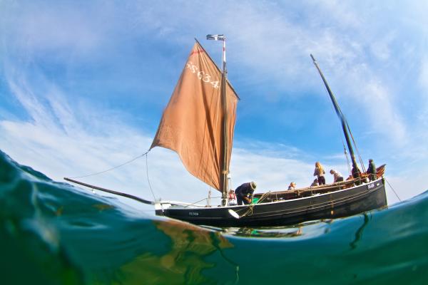 Barnabas, photo comp entry 2025