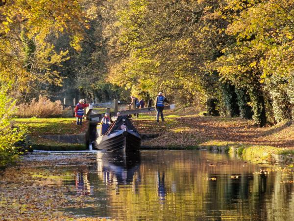 Python descends the great staircase, photo comp 2025