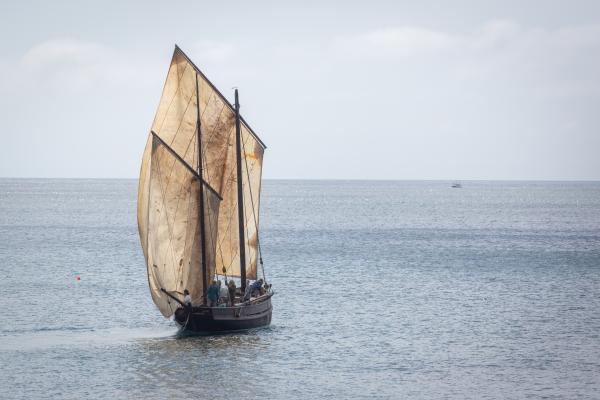 Leaving Mousehill
