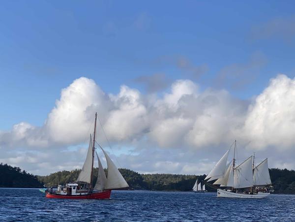 S/V Kess under sail