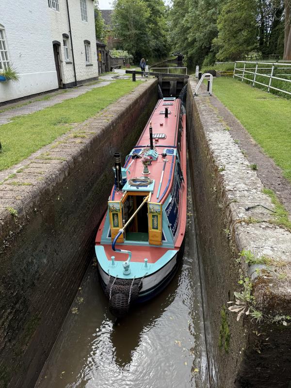 Delphinus out on a trip