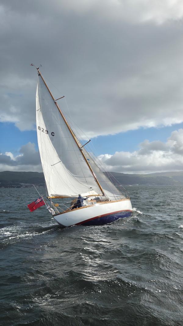 Isla Rose under sail
