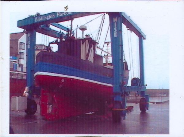 Shearbill out the water - stern view