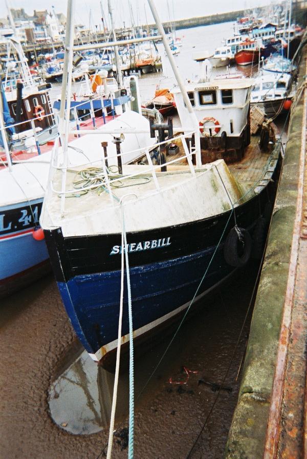 Shearbill - port bow