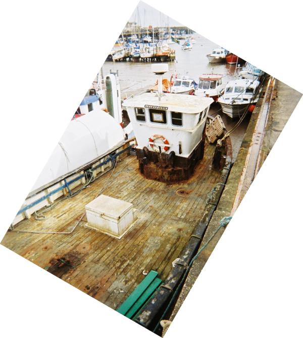 Sheerbill - deck view