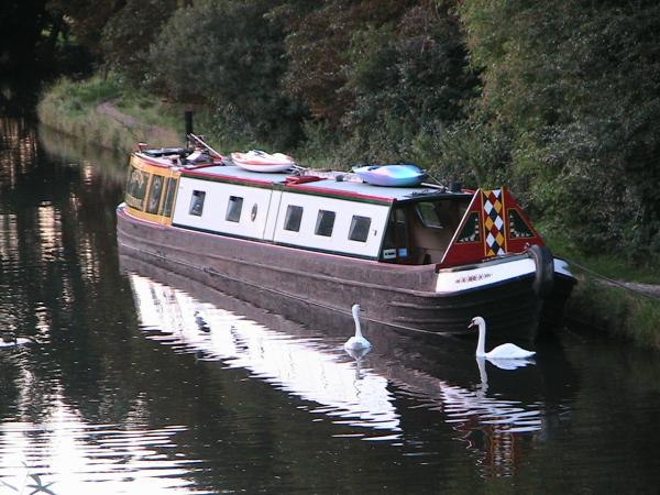 BEATTY bow view starboard side