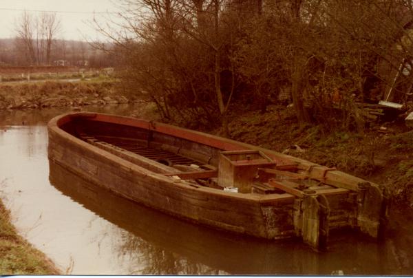 Susan - needing restoration