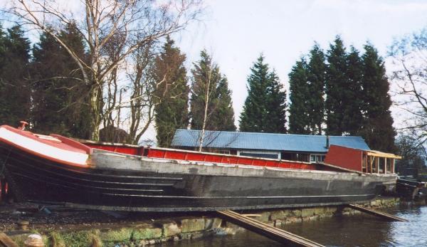 Cactus - port side