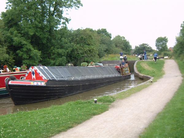 Swallow - port bow