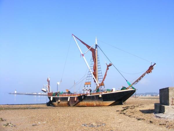Fertile beached