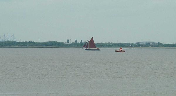 Spider T - under sail, port side