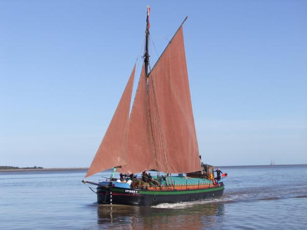 Spider Tsailing home