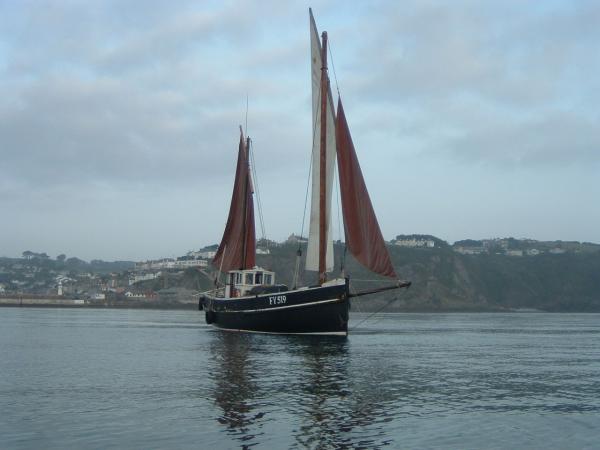 Ibis sailing from Mevagissy, starboard side