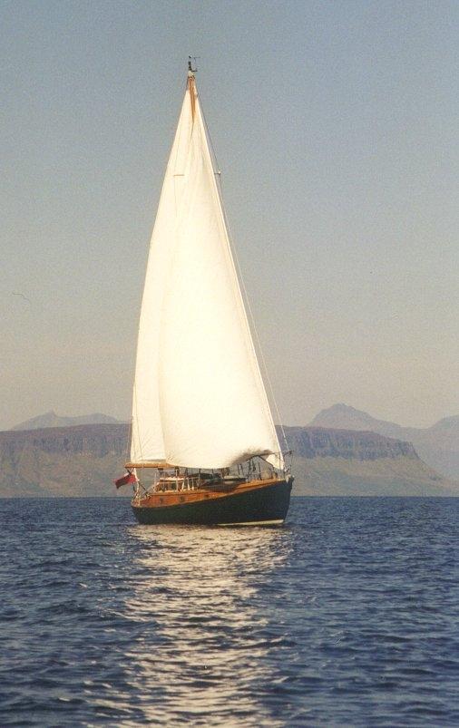 Aurelia sailing