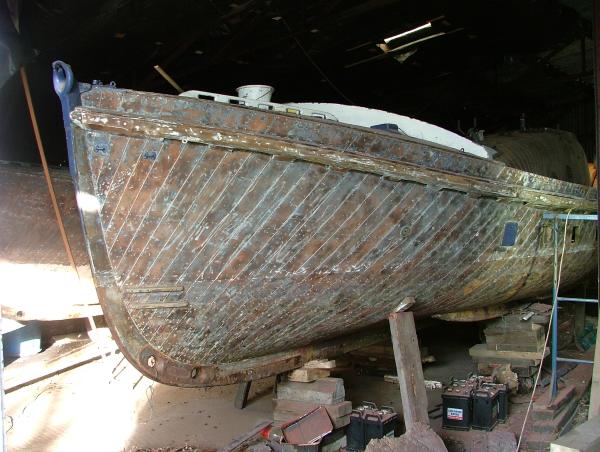 Aguila Wren - port bow