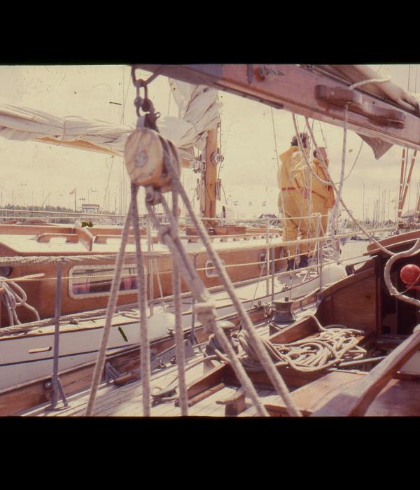 Aelfwyn - between 1985-1998