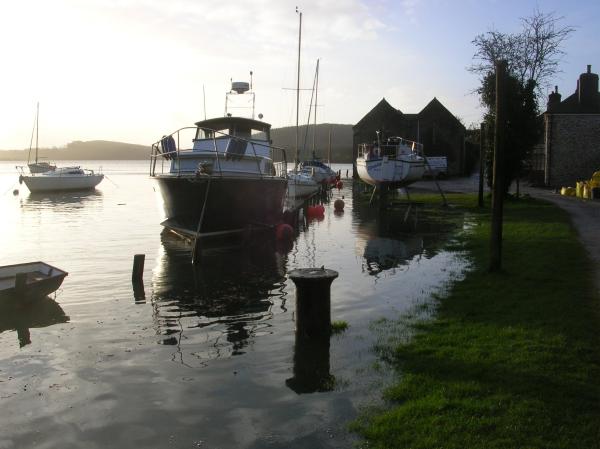 LYNNETTE bow view