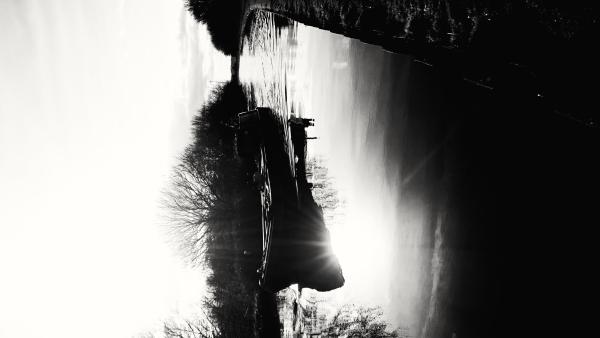 Photo Comp Entry 2016