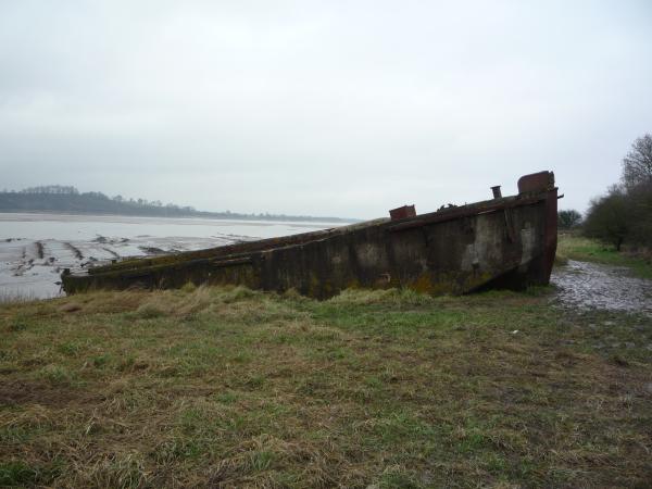 side view