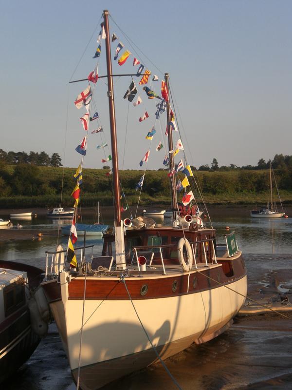 Nyctea - port side view