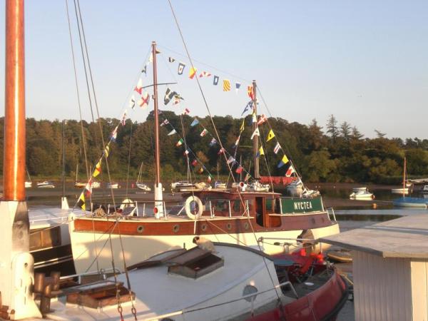 Nyctea - port side view