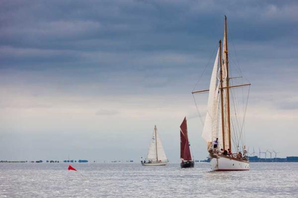 Photo Comp 2012 entry: Carrina 