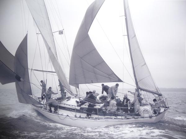 Black and White Image