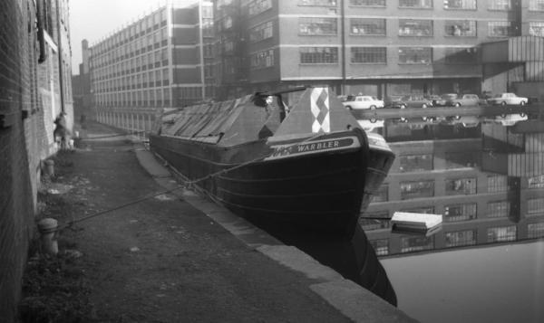 Warbler - possibly near Wenlock