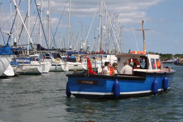 Terrier relaunch, June 2015