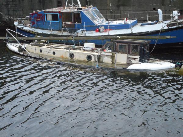 Freelance recent image