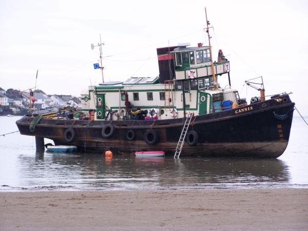 Cannis starboard side view