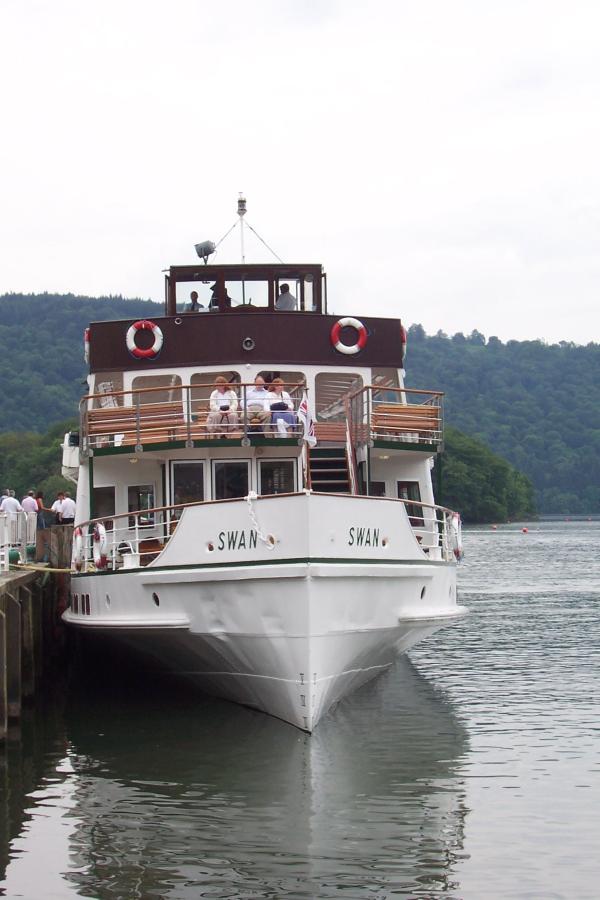 Swan - bow view