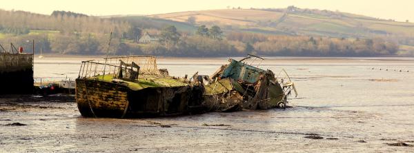 Western Lady, February 2015 image 8