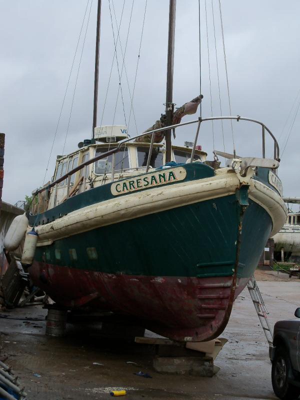 Caresana - bow