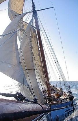 Irene sails