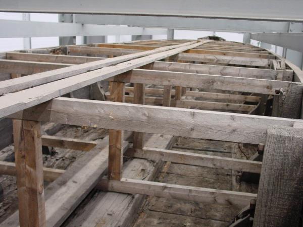 Ivy May - during current collections move