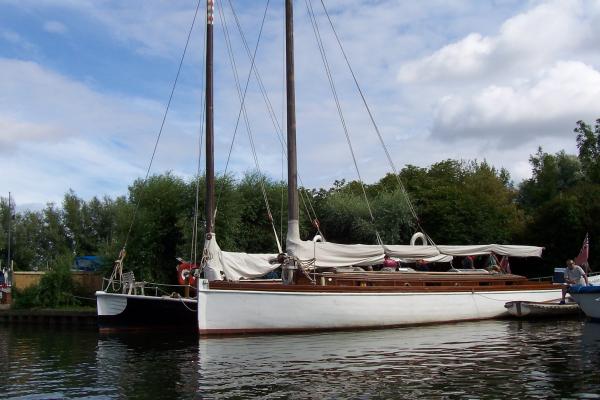 Olive - port side view