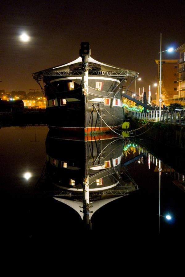 Unicorn at night