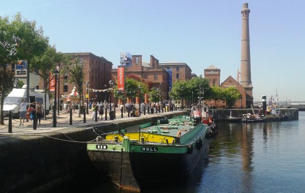 Hen at Albert Docks, Liverpool, July 2014